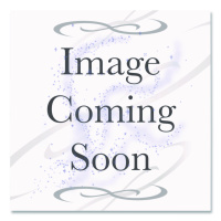 Triden Group Ind Media Converter, 10/100/1000base-t To 1000base-sx, Mm Sc, Ext Temp (SISTG1013211LRTB)