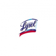 Professional LYSOL Disinfectant Pine Action Cleaner (02814)