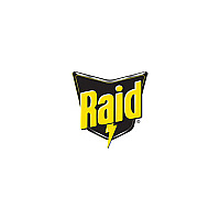 Raid Flying Insect Spray (379008)