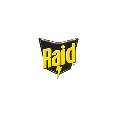 Raid Flying Insect Spray (379008)