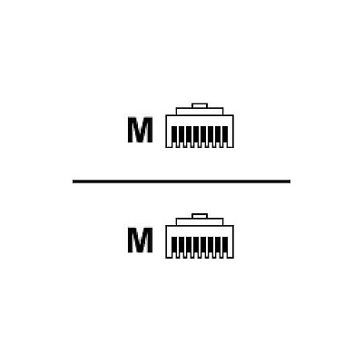 Raritan 10 Cat5e Rj-45(m) Cable To Connect (CSCSPCS10)