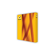 Symantec Nav+ 2g 1d 1y Std Ret Enr Drmkey Ftp (21399558)