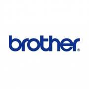 Brother 4.3 Desktop Printer, Dt, 203dpi, 5ips, Usb/ Ser, 2 Years Premier Warranty (TD4210D)