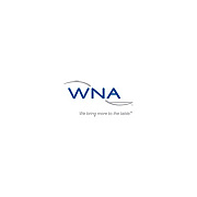WNA Comet Plastic Tumbler, 16 Oz, Clear, Squat, 25/pack, 20 Packs/carton (WNAT16)