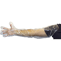 Safety Zone Polyethylene 35" Low Density Gloves Clear Lrg, Case Of 1000 (GDPE-LG-35)