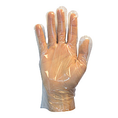 Safety Zone Polyethylene Gloves Clear Lrg - Case Of 1000 (GDCP-LG)